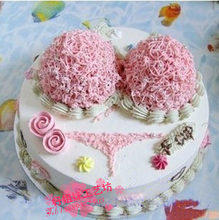 【<em>胸罩蛋糕</em>】最新最全<em>胸罩蛋糕</em> 产品参考信息