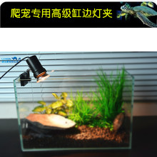【乌龟晒背灯】_宠物价格_最新最全宠物返利