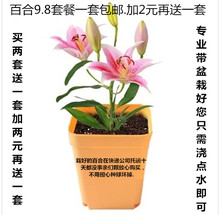 【耐高温植物】_绿植园艺价格_最新最全绿植