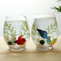 【桌面生态瓶 鱼】_正品海淘特卖代购-淘宝全