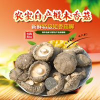 椴木香菇剪-白山特产东北干货椴木秋木耳卓仁