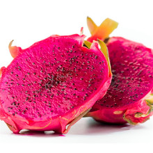 【海南红心火龙果】最新最全海南红心火龙果搭