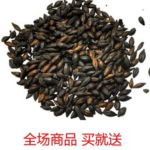 【焦山楂 焦麦芽焦神曲】最新最全焦山楂 焦麦