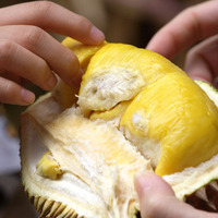 泰国猫山王榴莲-山王榴莲3kg新鲜包邮泰国金枕