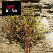 【昆明鲜花批发】最新最全昆明鲜花批发搭配优