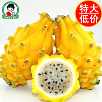 香港进口哥伦比亚 麒麟果 金燕窝果 黄龙果 水果