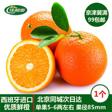 【西班牙橙】最新最全西班牙橙搭配优惠