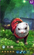 【剑三宠物】最新最全剑三宠物返利优惠