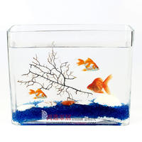 长扁花瓶-镇青花龙纹长颈花瓶玻璃水培植物花