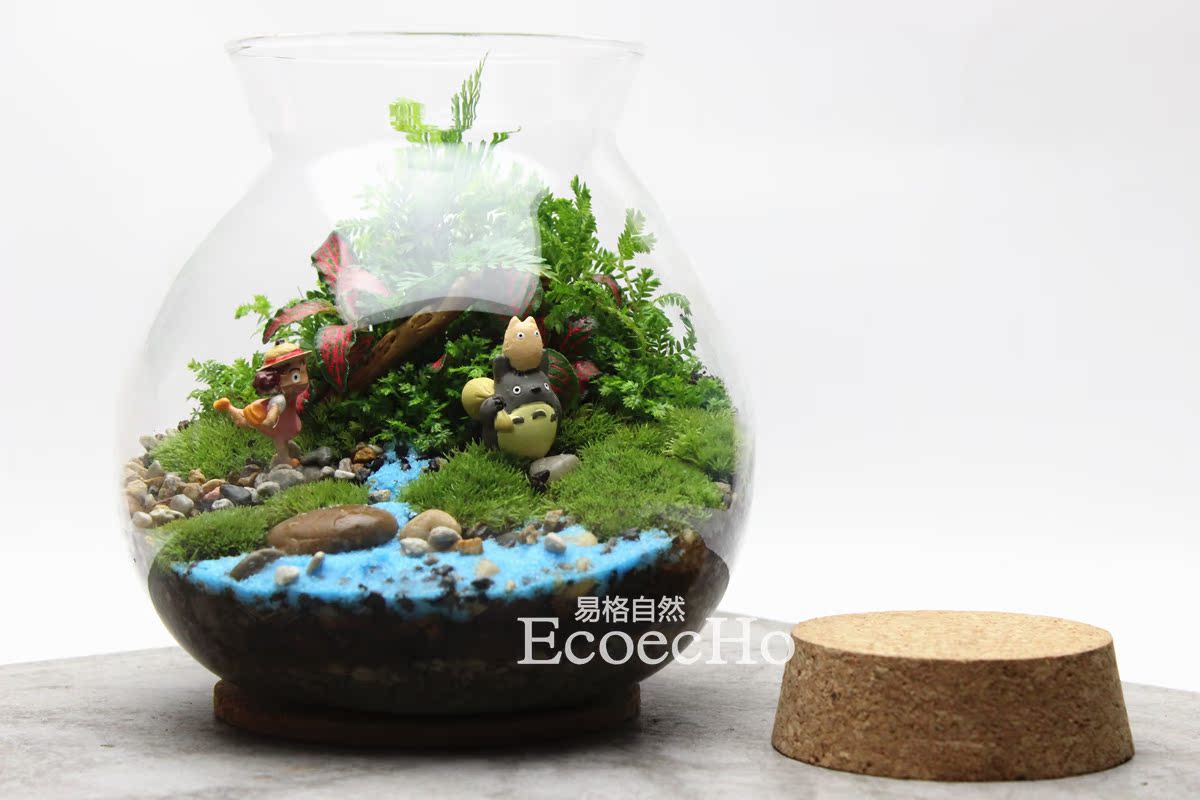 ecoecho苔藓微景观 微观生态瓶 苔藓盆栽 苔藓小品【我看见你了】