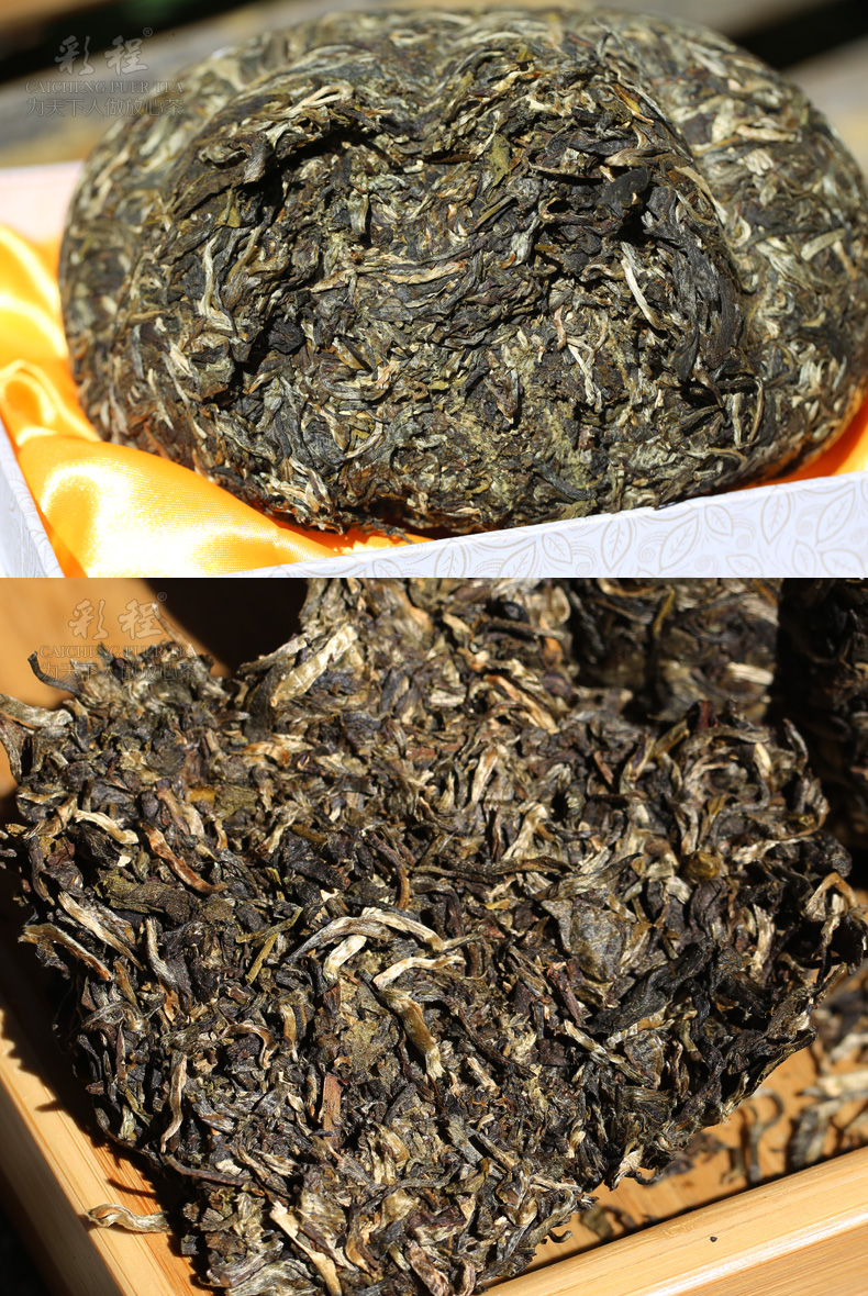 千年古树极品银芽2千克金瓜贡茶 - 阎红卫 - 阎红卫经赢之道策划产业联盟 千年古树极品银芽2千克金瓜贡茶 - 阎红卫 - 阎红卫经赢之道策划产业联盟