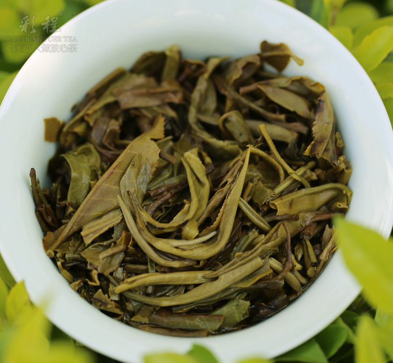 千年古树极品银芽2千克金瓜贡茶 - 阎红卫 - 阎红卫经赢之道策划产业联盟 千年古树极品银芽2千克金瓜贡茶 - 阎红卫 - 阎红卫经赢之道策划产业联盟
