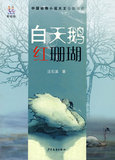 卓越购物白天鹅泡泡<em>折纸</em>\手工制作 学生手工作