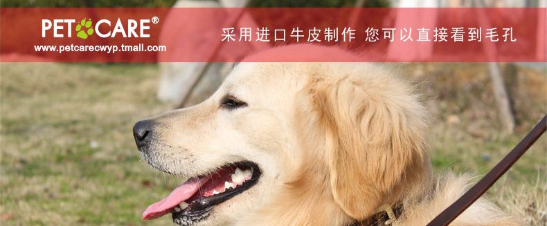 Ошейник для животных петкер Pet воротник собака воротник домашнее животное р цепь собака цепь высокого качества латунь оснастки крышек нагруженный термин Ошейник для животных петкер Pet воротник собака воротник домашнее животное р цепь собака цепь высокого качества латунь оснастки крышек нагруженный термин