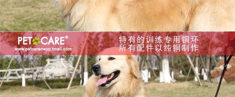 Ошейник для животных петкер Pet воротник собака воротник домашнее животное р цепь собака цепь высокого качества латунь оснастки крышек нагруженный термин Ошейник для животных петкер Pet воротник собака воротник домашнее животное р цепь собака цепь высокого качества латунь оснастки крышек нагруженный термин
