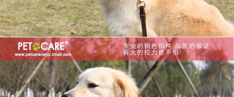 Ошейник для животных петкер Pet воротник собака воротник домашнее животное р цепь собака цепь высокого качества латунь оснастки крышек нагруженный термин Ошейник для животных петкер Pet воротник собака воротник домашнее животное р цепь собака цепь высокого качества латунь оснастки крышек нагруженный термин