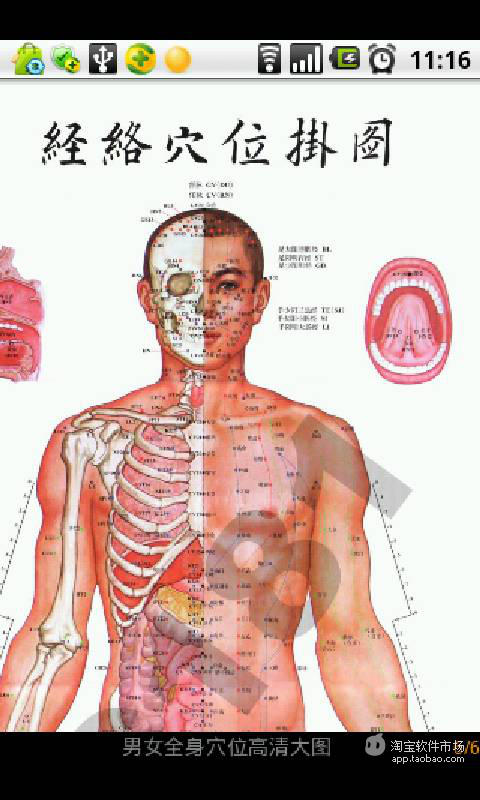 【免費新聞App】男女全身穴位高清大图-APP點子