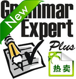 纯外籍教师 英语议论文语法检查修改纠正 翻译
