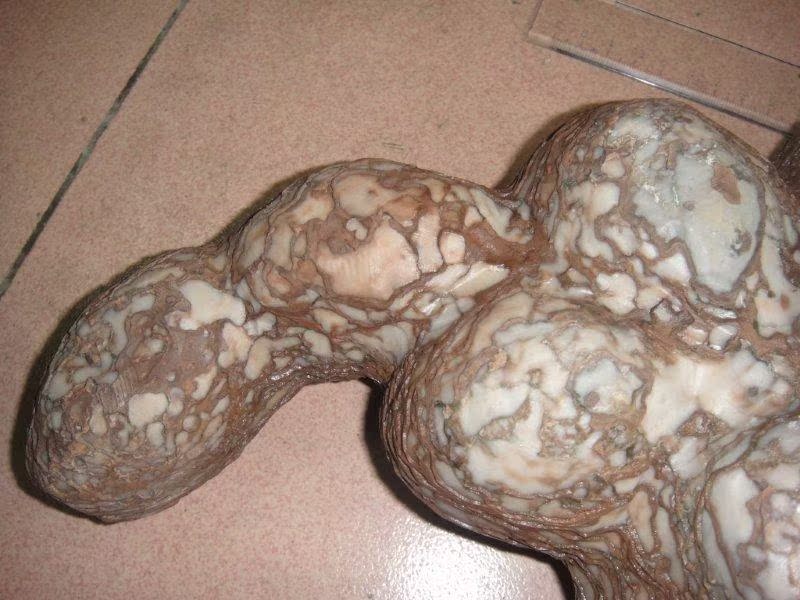 天然鳄鱼龟形状结核石 蛋型结核石蛋形石摆件