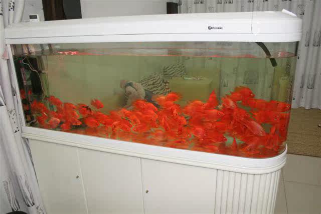 點擊瀏覽下一頁