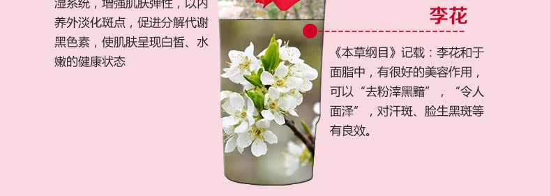 Xuelinfe BB 40ml Xuelinfe BB 40ml