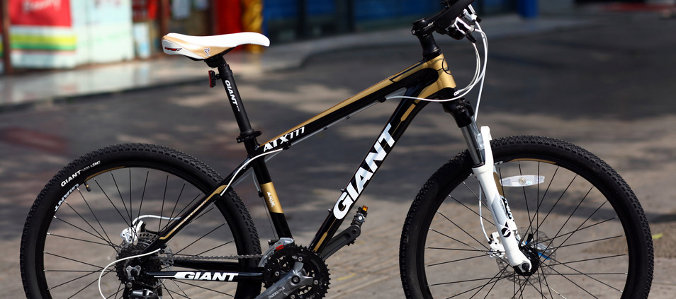 碳纤维山地自行车 山地车十大品牌madison m