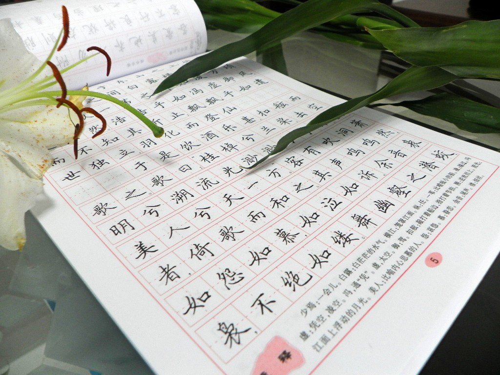 [天猫]满28元包邮 高中生必背文言文 田英章楷