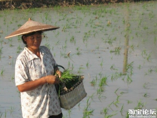 【创业日记】 变形记:胡耿 ,今天一斤枣也没卖出