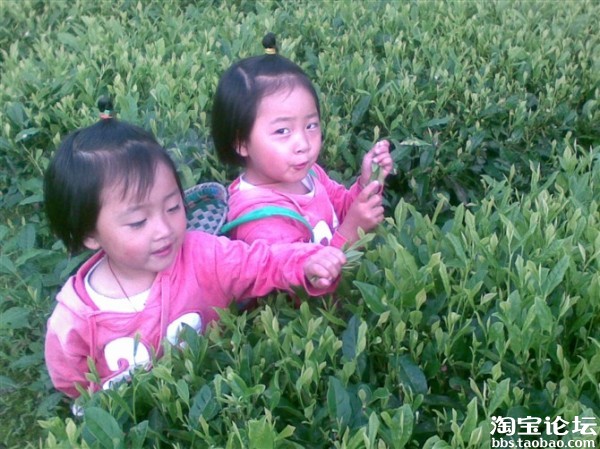 迷茫的我该何去何从呢? - 创业先锋 - 淘宝论坛