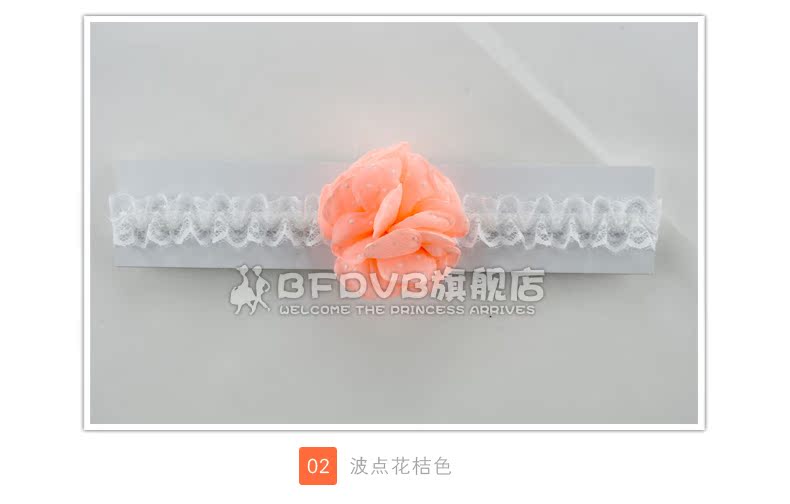 Bfdvb fd0029 Bfdvb fd0029