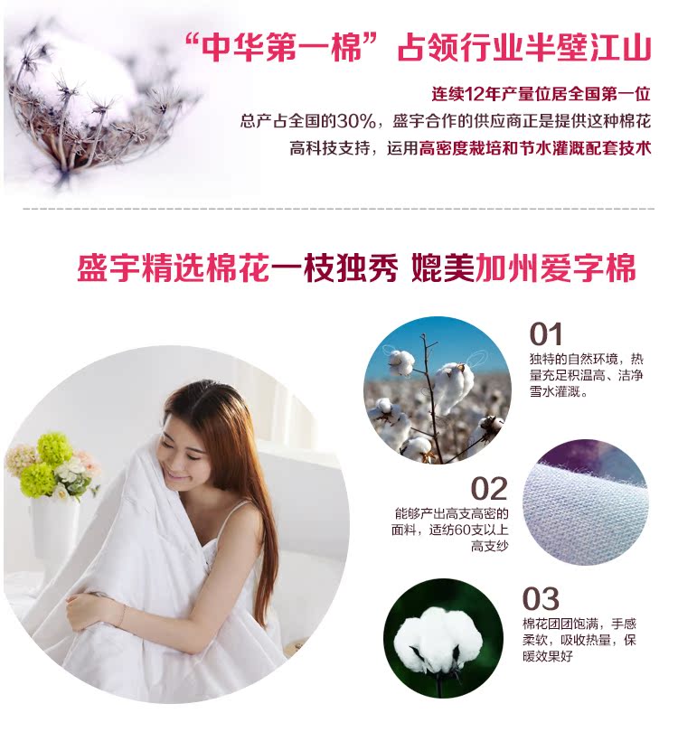 Комплект постельного белья Sheng Yu bsw1a9901/4 2013 Комплект постельного белья Sheng Yu bsw1a9901/4 2013