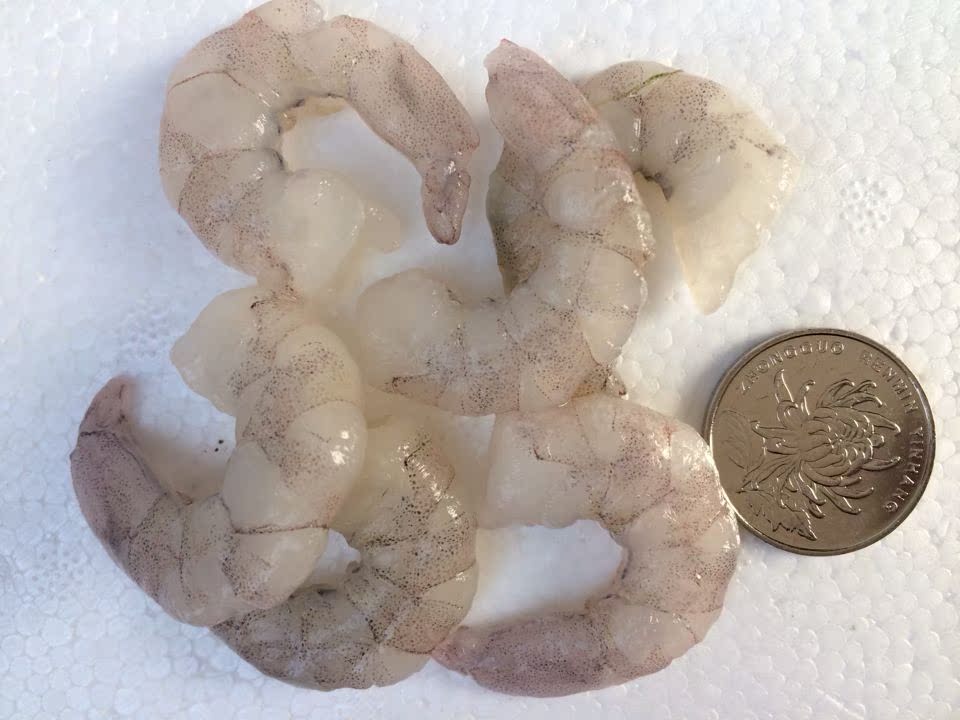 特级野生海鲜单冻大青虾仁速冰冷冻新鲜薄冰南美水晶虾宝宝批发