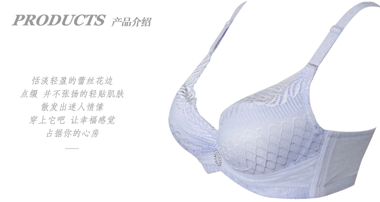 浪莎内衣<em>文胸</em> 蕾丝边文胸 文胸聚拢 <em>名牌胸罩</em> b