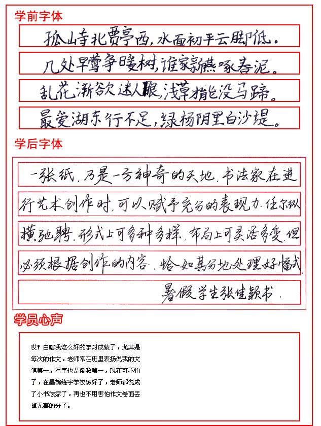  张佳颖作品