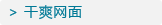 干爽网面