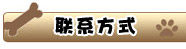 吉娃娃/可爱/纯种吉娃娃犬 赛级吉娃娃/终身保障/北京可上门！