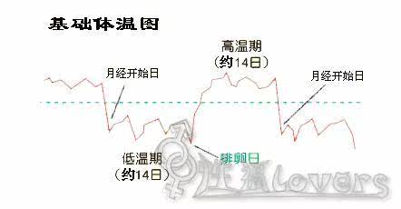 <em>女性专用基础</em>电子<em>体温计</em> 口腔<em>体温表</em> 读数高精
