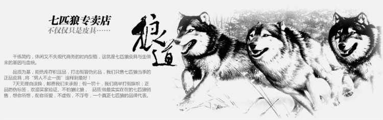 Бумажник The septwolves 3a10145 Бумажник The septwolves 3a10145 The septwolves / seven wolves