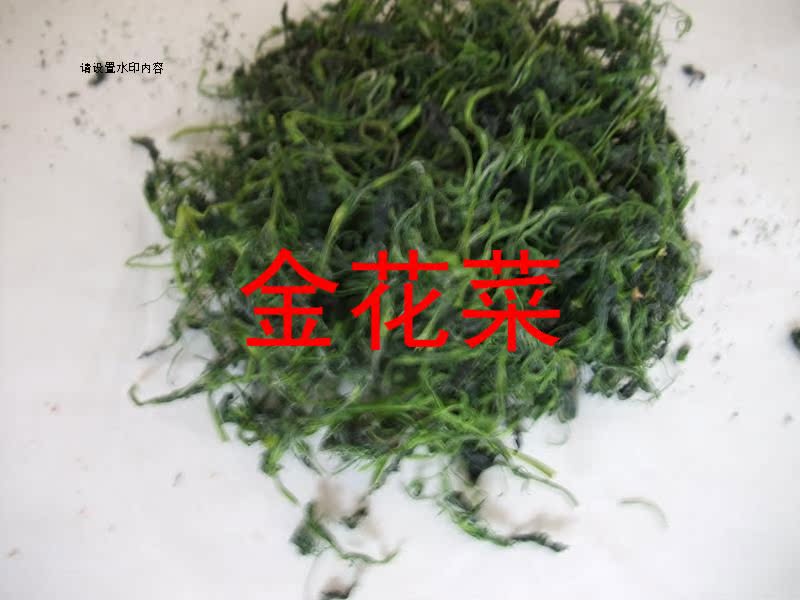 小额批发 金花菜,山珍金花菜 天然绿色食品金花菜