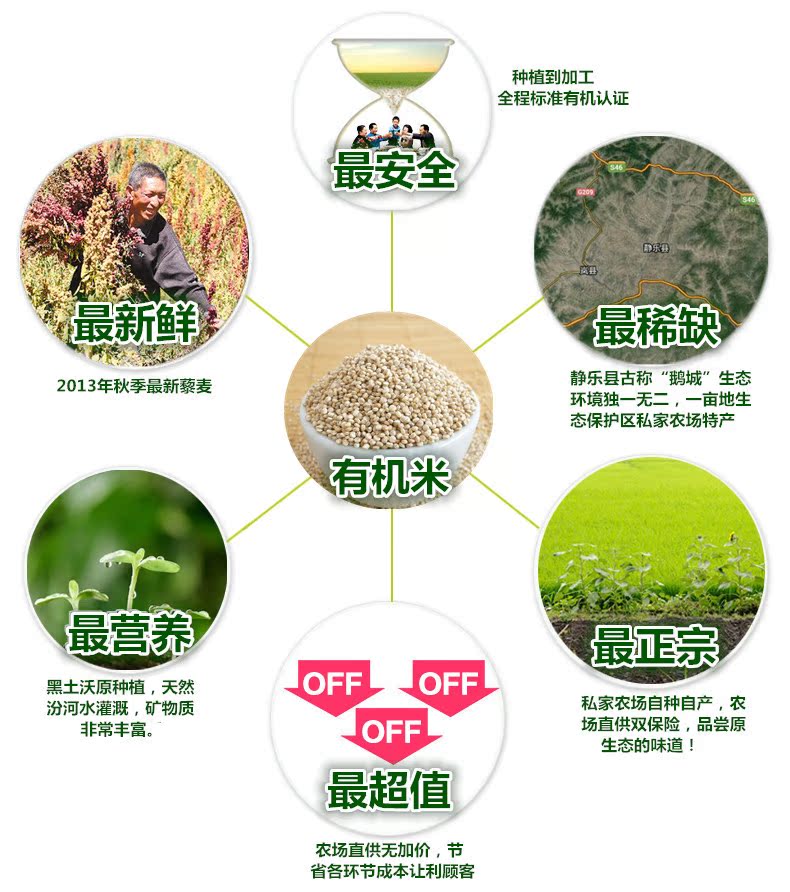 稻谷-2013山西藜麦Quinoa新藜米孕妇宝宝辅食
