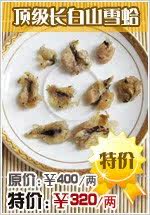 顶级长白山雪蛤