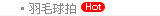 羽毛球拍