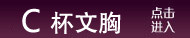 C杯-文胸
