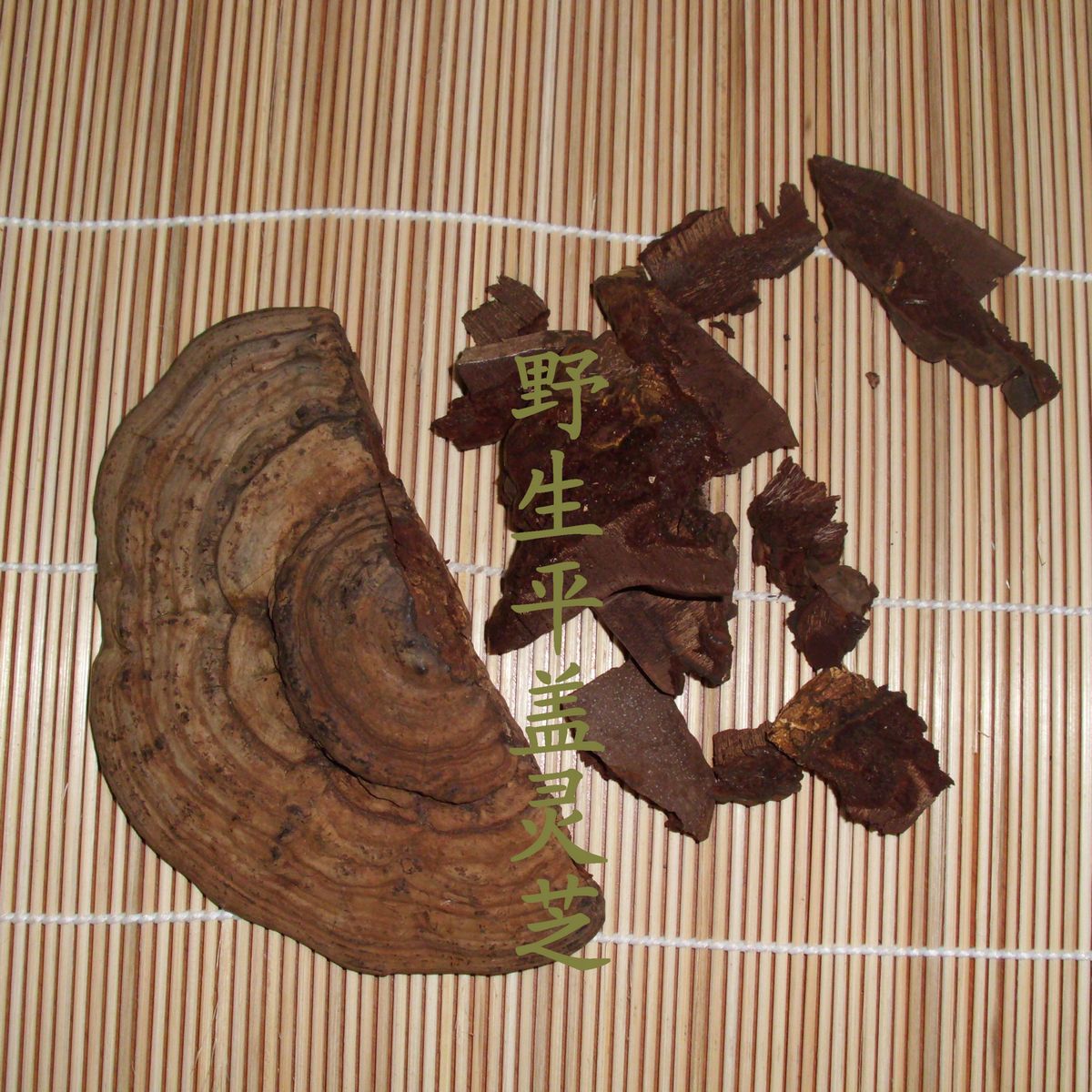 树舌平盖/野生灵芝/野生平盖 树舌灵芝 野生大灵芝 野生平盖树舌