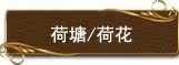 荷塘月色