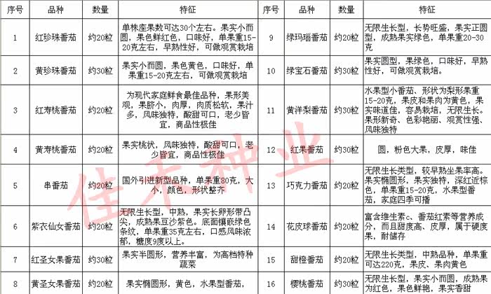 淘宝导购,番茄种子 西红柿/<em>圣女果</em>/樱桃蕃茄 16