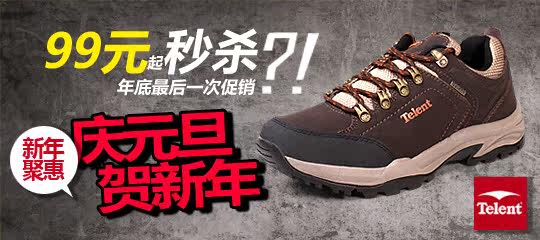 telent天伦天旗舰店