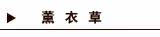 薰衣草