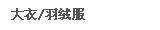 大衣/羽绒服