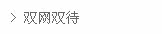 -----双卡双待【双G网】